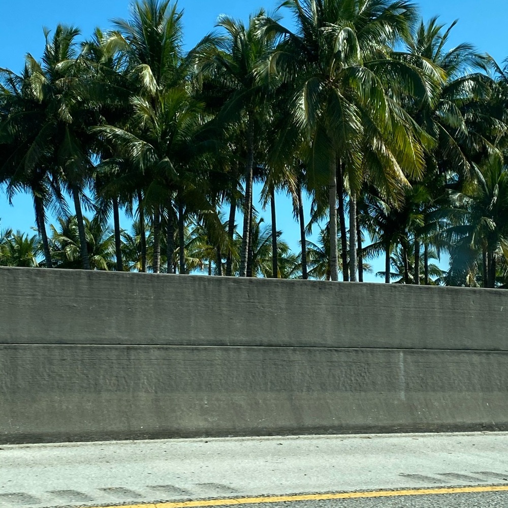 Meet your Posher, Tolitha